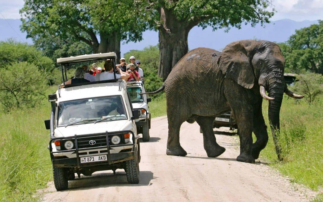 3 Days Group Safari in Tarangire, Ngorongoro Crater & Lake Manyara