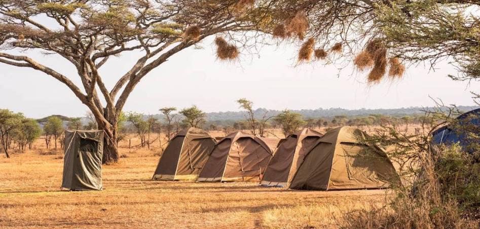 5 Days Tanzania Camping Safari