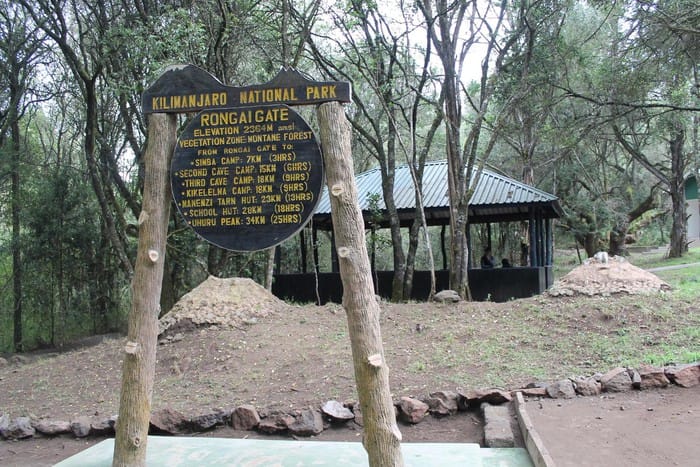 6 Days Rongai Route Kilimanjaro