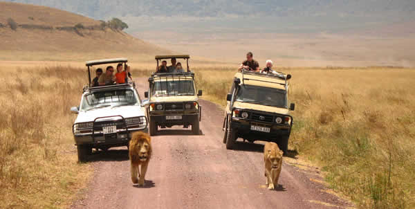 3 days Tanzania Safari Vacation Tarangire, Manyara and Ngorongoro