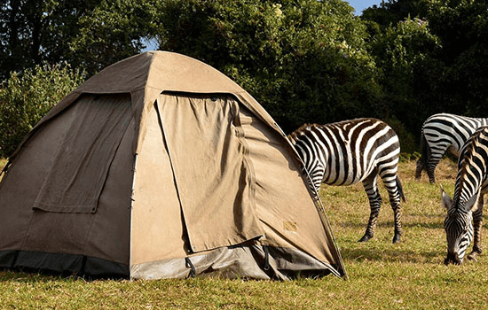 Budget Camping Safari