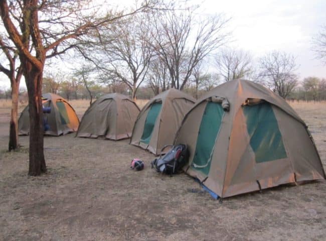 Camping Safari Serengeti